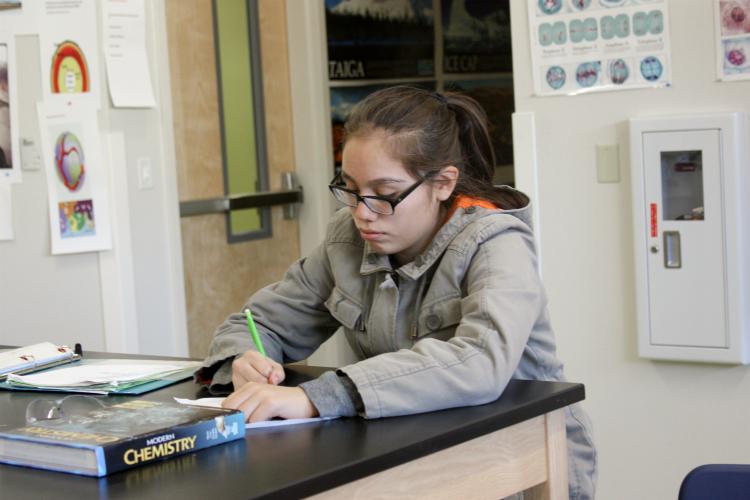 The students that are finished with presenting are writing notes for other students experiments to determine a winner. “I think it’s cool that we are rating other students’ demos and determining a winner,” sophomore Heather Gonzalez said.