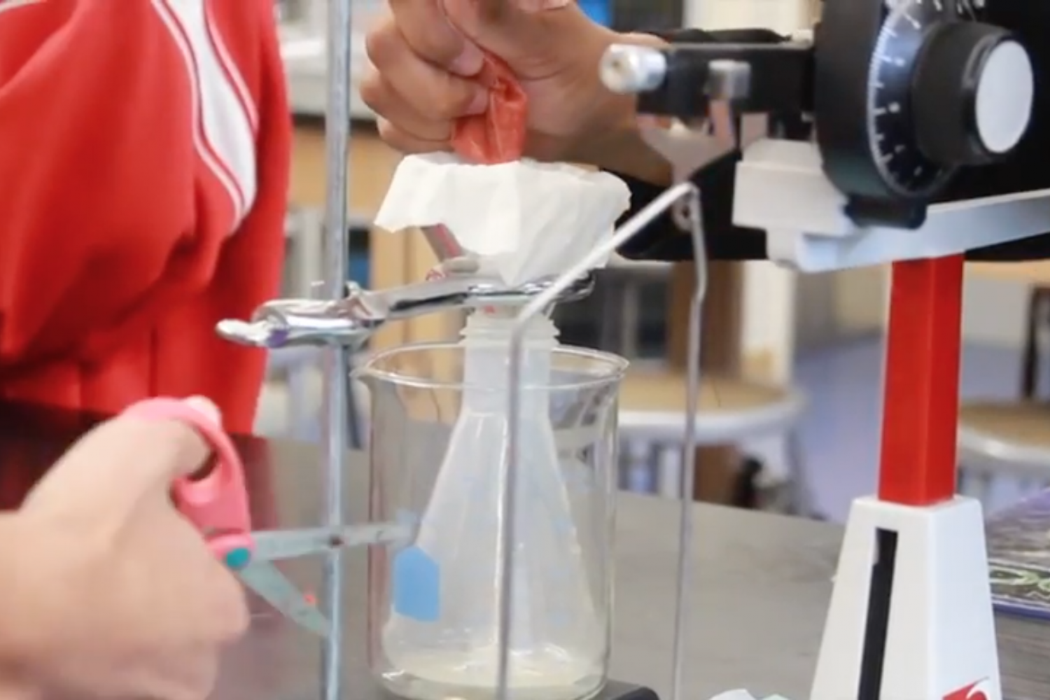 VIDEO: Freshmen analyze strawberry DNA