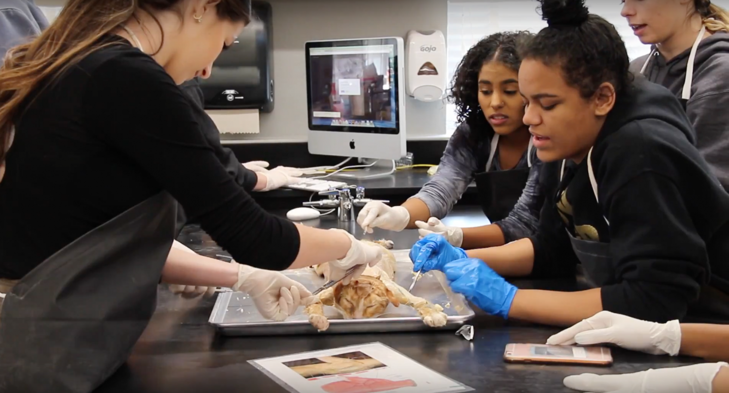 VIDEO: College credit earned through CTE testing