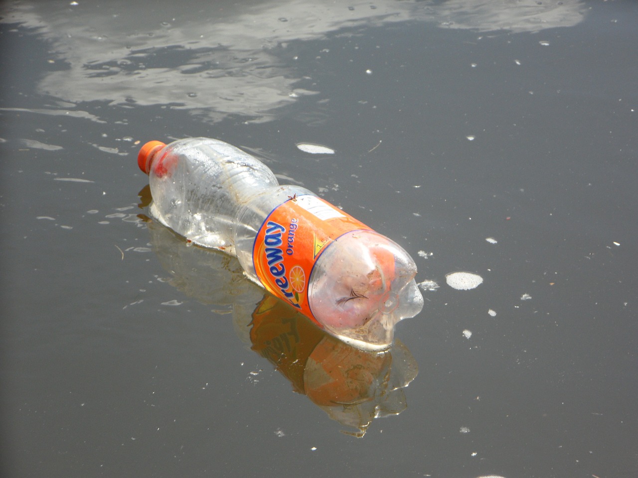PRO/CON: Beware the impending plastic disaster