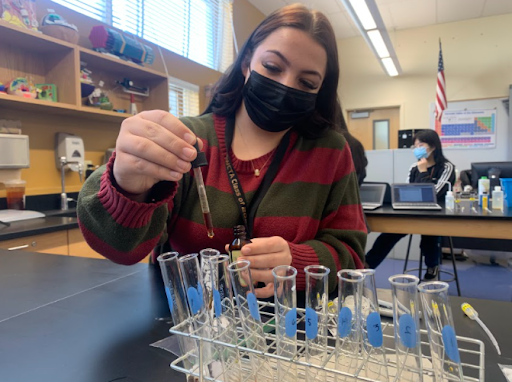 Putting in the solution, senior Rylee Jones studies the measurements in the test tubes. Students had to be careful and ensure that all their measurements are correct to prevent inaccurate lab results.. “Even though [the work] is tedious, we gain a lot of skills from it,” senior Rylee Jones said. “I enjoy it, though, and the labs give us a physical example of everything we learn, which definitely helps us learn better.” Photo‌ ‌Credit: Gurleen Swaich ‌