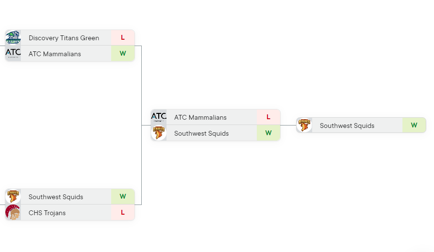Bracket of the PlayVS Championship, showing the team’s progression from quarter finals to finals.