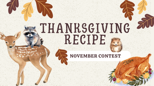 Thankgiving Recipe Contest