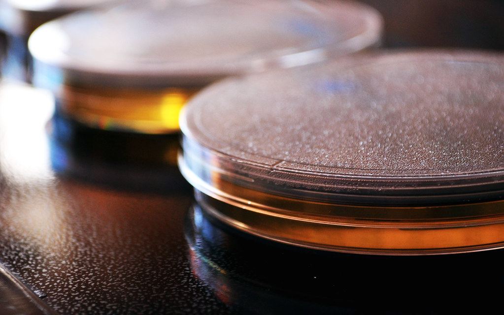 Petri Dishes and Agar Oh my! by GoodNCrazy is licensed under CC BY 2.0. To view a copy of this license, visit https://creativecommons.org/licenses/by/2.0/?ref=openverse.