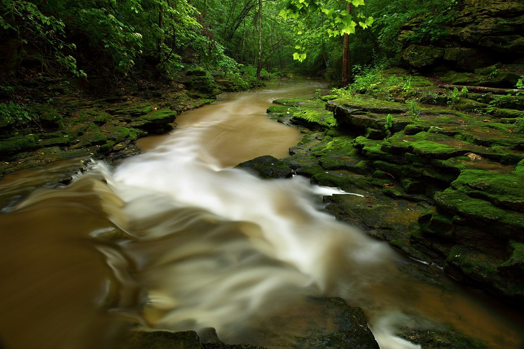 "Forest Stream After Rain Showers" by ForestWander.com is licensed under CC BY-SA 2.0. To view a copy of this license, visit: https://creativecommons.org/licenses/by-sa/2.0/