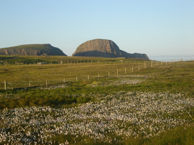 "Cotton Grass fields late of a summer evening, Fair Isle - geograph.org.uk - 888565" by Ruth Sharville is licensed under CC BY-SA 2.0. To view a copy of this license, visit: https://creativecommons.org/licenses/by-sa/2.0/