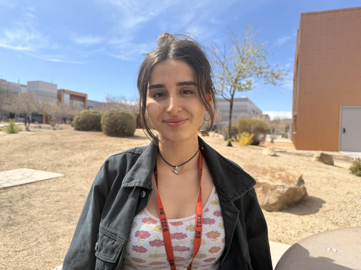 “I was thinking of just catching up on my grades and my responsibilities,” sophomore Larissa Cummings said. “Practicing and doing stuff for my clubs, working on getting my driver’s license, getting a job, just treating it as a sort of spring cleaning or spring reset.”
