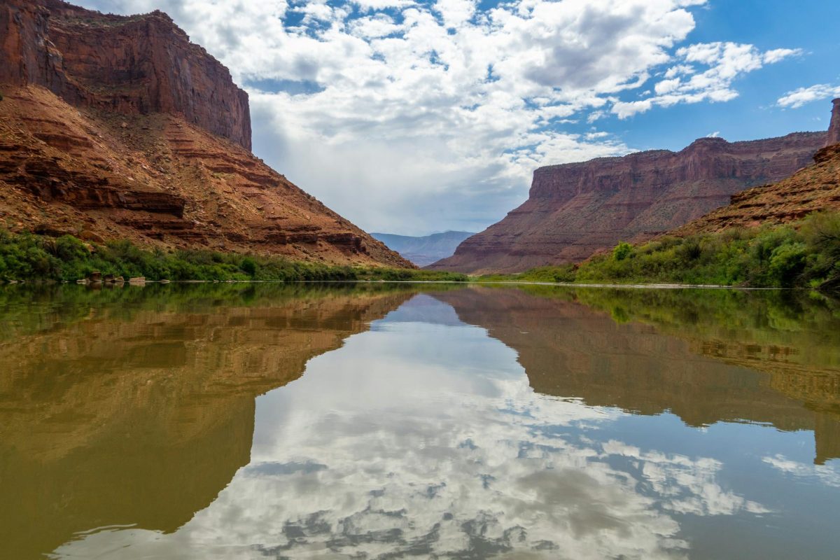 Photo by Mike Newbry on Unsplash
      