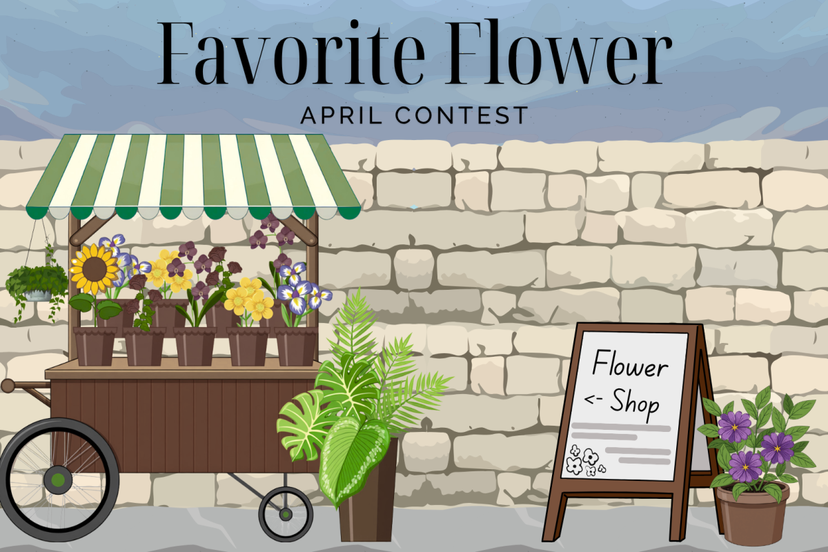 'Favorite Flower' Contest
